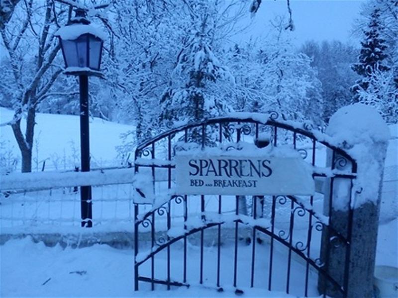 Sparrens Bed And Breakfast Fiskesa Buitenkant foto